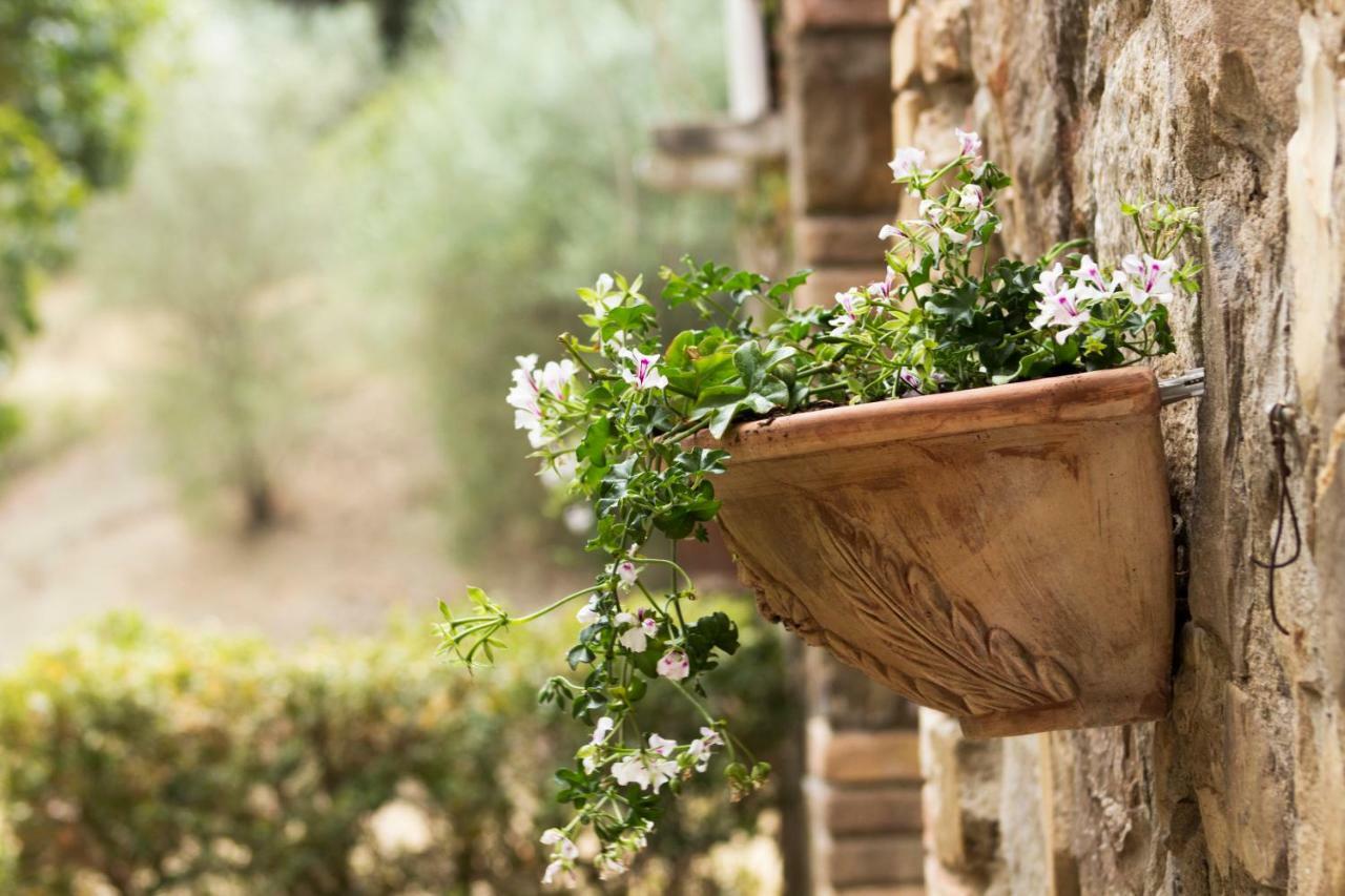 Villa Del Fattore Montalcino Zewnętrze zdjęcie