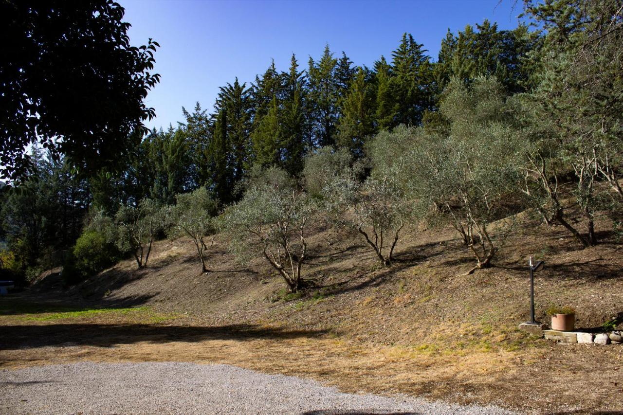 Villa Del Fattore Montalcino Zewnętrze zdjęcie